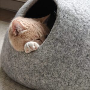 Handgemaakte wollen kattenmand in coconvorm, zachte veilige vilten slaapplek voor katten of kleine honden